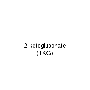 2-ketogluconate (TKG)